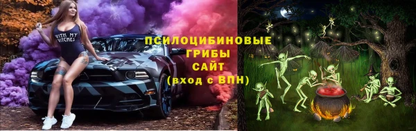 героин Алексин