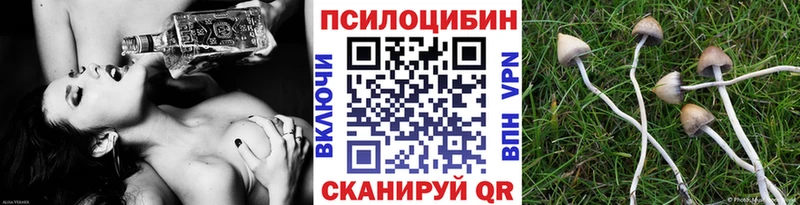 Псилоцибиновые грибы Magic Shrooms  Углич 