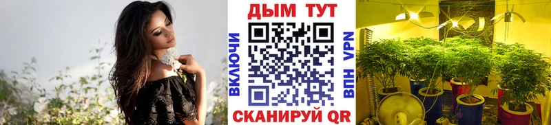 Шишки марихуана AK-47  Углич 